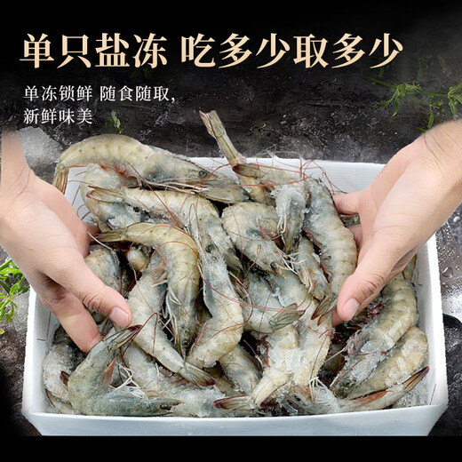 Dongshang Royal Shrimp Qingdao Prawn Base Shrimp Fresh Live Prawn White Prawn Sea Prawn Prawn Ice Prawn Frozen Shrimp Fresh Shrimp Seafood 3Jin Jin is equal to 0.5 kg (net weight) Air-frozen prawn Live shrimp quick-frozen 15-18cm Single extra large shrimp