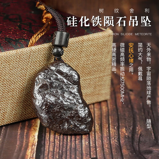 Ganxia Xinjiang silicide iron meteorite pendant tree relic pendant soaked in water active magnetic necklace stone iron meteorite 15g randomly selected