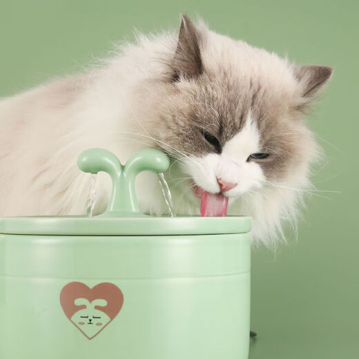 Rafxin's latest ceramic pet cat and dog water fountain, automatic constant temperature, intelligent cycle water feeding, cartoon cat bowl, charging swimming cat (large size)