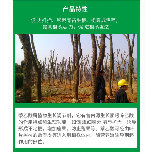 Guoguang Shenghe Rooting Powder 20% Naphthalene Acetic Acid Growth Regulator Rooting Agent Cuttings and Transplanting Raw Heel 5g/bag*10 bags (free 100ml Xin Shimei