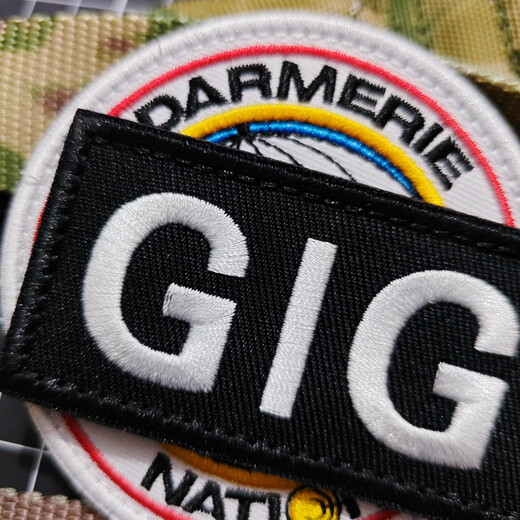 Tactical Mandrill GIGN French Gendarmerie Embroidered Velcro Badge RAID Black Panther Commando Armband Tactical Backpack Badge GIGN Round 8CM