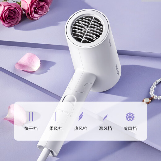 FLYCO hair dryer negative ion hair care household magnetic air collection nozzle foldable FH62761800W