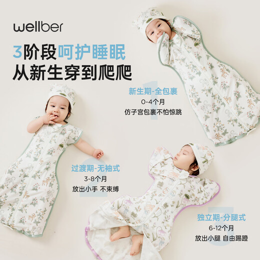 WELLBER (WELLBER) Newborn baby anti-shock sleeping bag surrender baby 0-6 months package anti-kick quilt Lulin Xiaomenghu L