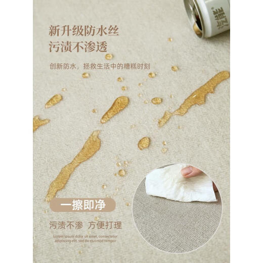 鱼与虎地垫客厅奶油风法式新款垫防水防污家用房间加厚地垫 回忆-12113 140cm*200cm圈绒