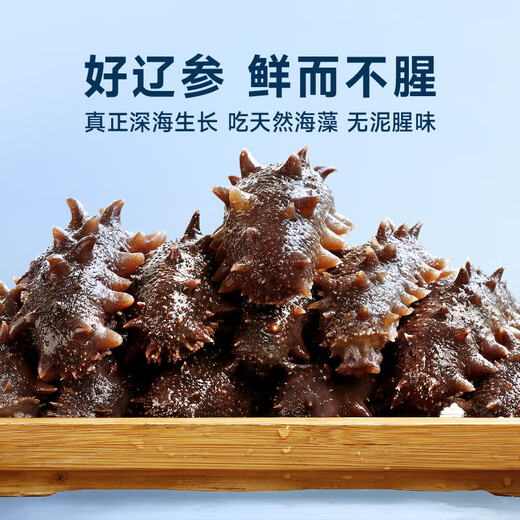 Jiunian Dalian ready-to-eat sea cucumber OCC3Jin Jin equal to 0.5kg 15-21 pieces individually wrapped gift box Liao sea cucumber seafood gift box