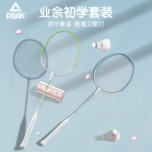 匹克 羽毛球拍对拍耐打成人学生套装训练比赛拍金铠甲 歌鸲蓝/紫色