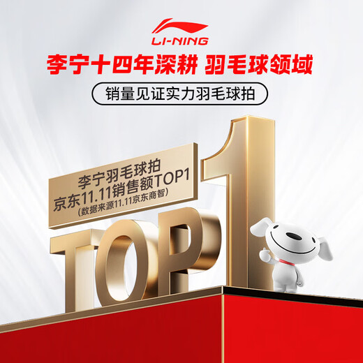 李宁（LI-NING）羽毛球拍对拍套装雷霆碳素复合一羽毛拍青少年成人通用 已穿线