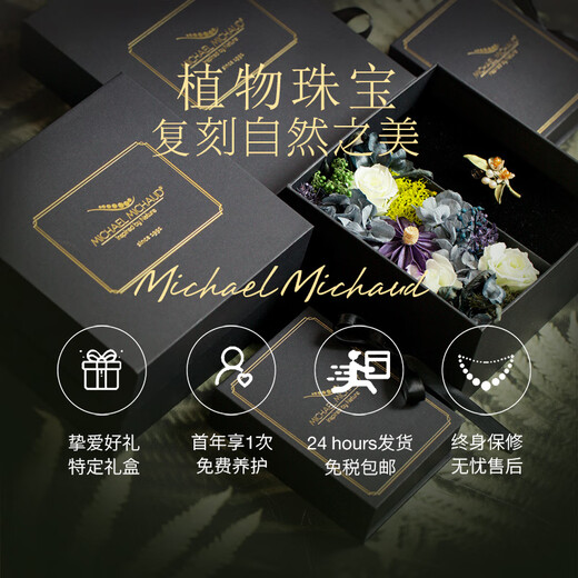Michael Michaud Deutsche Licht Luxus Schmuck Blume Diamant Schmuck Gold und Silber Brosche Stifte Literary Retro Elegant Fashion Business Geschenkohrringe (4872)