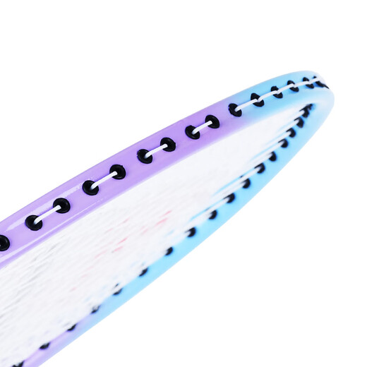 ENPEX乐士羽毛球拍双拍 耐打学生成人对拍 ART-80 附101-3羽毛球