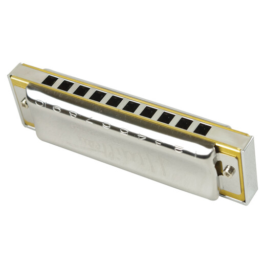 HOHNER imported ten hole adult blues harmonica JJMilteau signature model playing level 10 holes B flat key