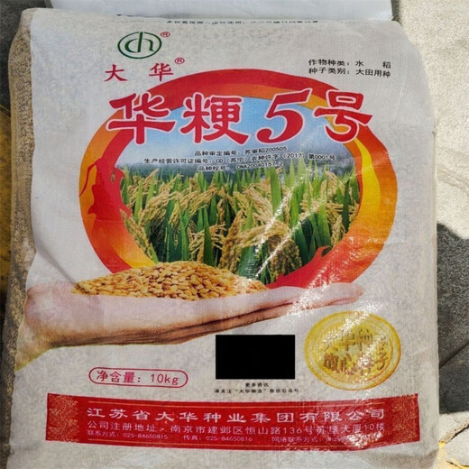 Authentic and delicious rice seeds that can be planted, upland rice seeds, dry valley fragrant rice, upland rice seeds, glutinous rice seeds, national approval, live broadcast glutinous rice seeds, dry land cultivation, bulk name, simple packaging, 1Jin, Jin is equal to 0.5kg, 500g