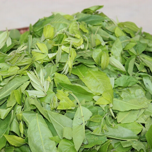 Médicaments chinois utilisés dans la cour intérieure, feuilles de saule Qingqian, Zhangjiajie sélectionné les feuilles originales de Willow Qingqian, arbre ancien, Jinqian Willow Green Willow Health Health 5