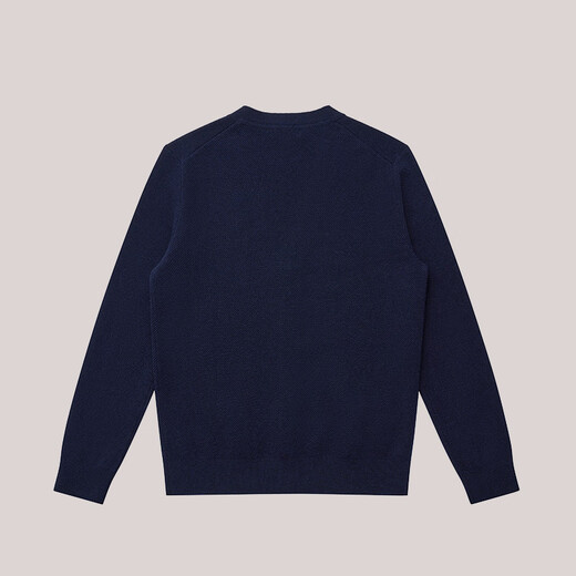 哈吉斯（HAZZYS）男装 秋冬款毛衣外套简约百搭羊毛开衫男ABYZD0BDF55 藏青色NV L （175/96A 48）