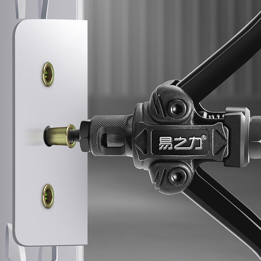 Yi Zhili nut gun rivet cap nail gun tool pressure riveting Ram manual industrial grade rivet gun double nut gun (with 5 gun heads)