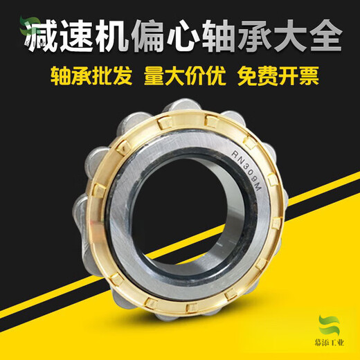 Reducer eccentric bearing RN307RN205RN206 RN309 204 312 219 222 Eccentric sleeve 6224