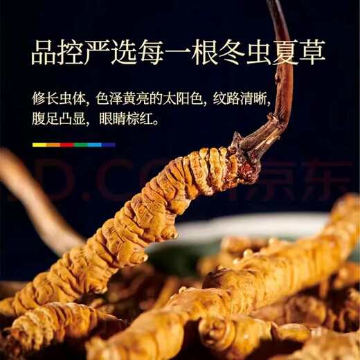 冬虫夏草 藏区雪域高海拔虫草自用实惠 过节送礼 礼盒装 2根/克（每单为1根）