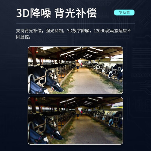 dahua大华股份4G球机摄像头 200万低功耗人脸检测抓拍监控摄像头 插SIM流量卡远程云台摄像机 DH-SD6223-DGQ-i