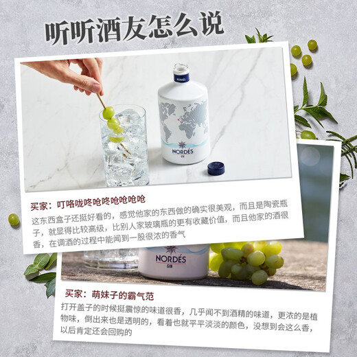 诺迪思金酒 西班牙进口 （NORDES）洋酒蒸馏酒可调配基酒杜松子 诺迪思金酒 200mL 1瓶