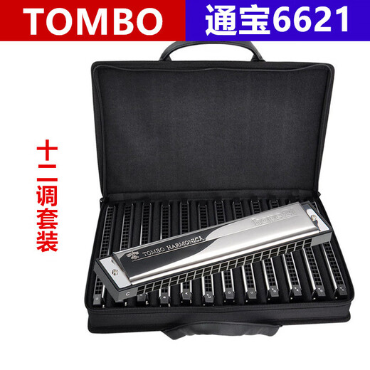Tombo (Tombo) Japaner importiert Gong Tongbao Mundonicon 6621 Polyphonische 12-Tuning-7-Tuning-Set-Anfänger, die Musikinstrumente spielen 21 Kong Tongbao 6621 Polyphonische [zwölf Abtuns-Set] (Sende der Begleitung U-Datenträger)