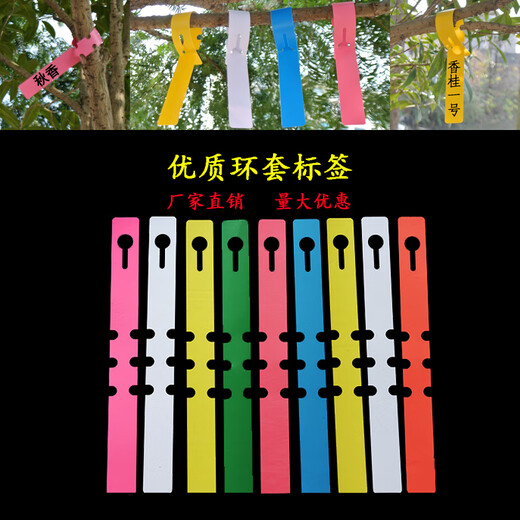 Shipton PVC waterproof ring set flower plant label seedling gardening label plastic orchid label ring buckle tag ring set - red (100 photos)