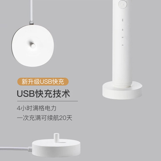 网易严选  日式和风声波式电动牙刷 送礼优选 升级版3挡控制 防水情侣成人充电式声波振动牙刷 【升级版】黑色刷头*2只装
