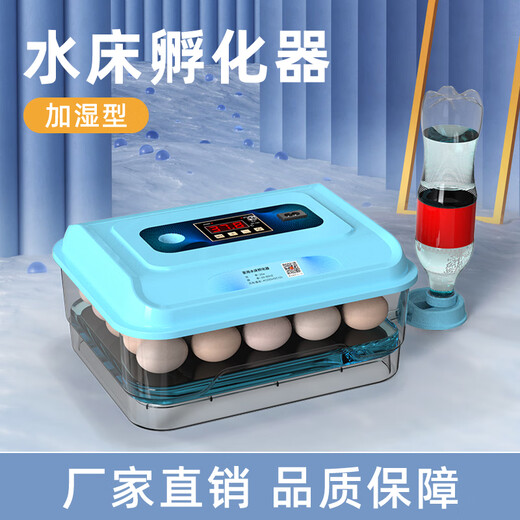 CLCEY chick incubator fully automatic 2024 small household smart egg incubator mini water bed rutin chicken 22 pieces foam water bed electric (classic model with photo eggs
