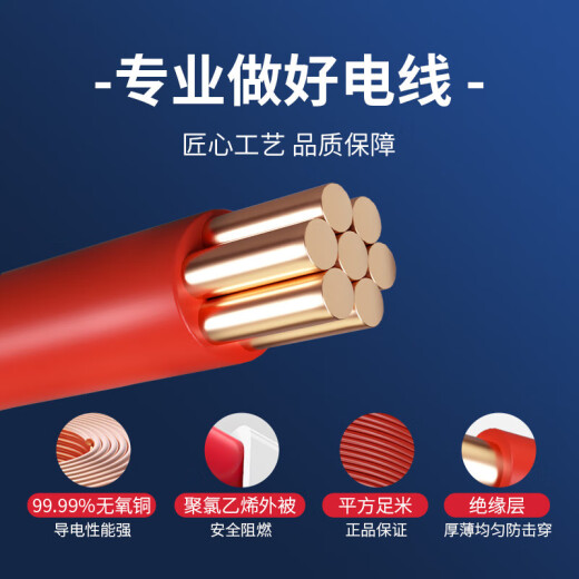 Chint (CHNT) wire and cable flame retardant BVR2.5 square multi-core multi-strand copper wire household copper core soft wire 100 meters red