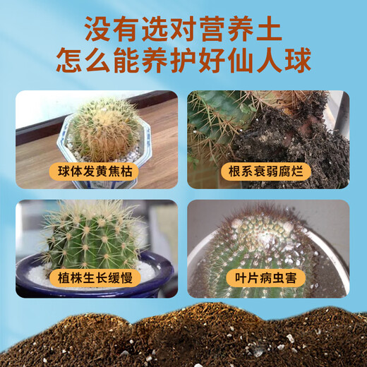 Devodo cactus special nutrient soil 15L gardening green plant potted flower soil organic composite matrix planting soil