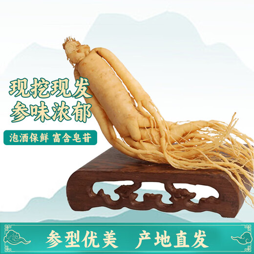 鹿额娘年货礼盒 长白山有机灵芝孢子粉头道孢子粉年货礼盒送长辈父母 保鲜参20g