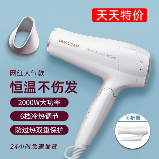 飞科电吹风机家用护发负离子大功率静音小型宿舍用学生速干吹风筒 飞科FH6296青春色1800W恒温护发