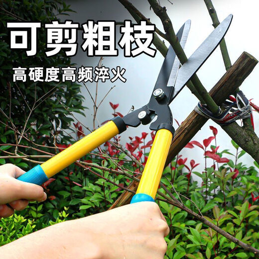 Yanran garden pruning shears, green lawns, hedge shears, large flower shears, garden pruning tools, special scissors for pruning branches, thick and super hard (1 pack)
