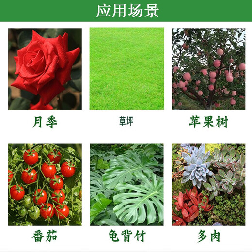 Muda Biological Naphthalene Acetic Acid Irrigation Rooting Agent Garden Seedlings Ancient Trees Rejuvenation Lawn Flower Cuttings Hair Root Transplanting Rooting Agent 4 liters/barrel*1 barrel