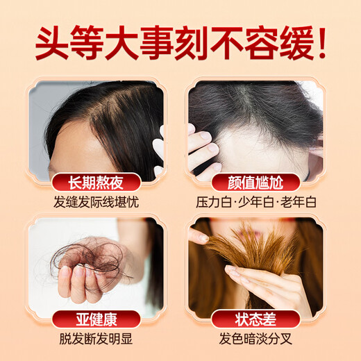 怡福寿北京同仁堂五黑粉黑芝麻黑豆黑米黑枸杞桑葚核桃粉糊养发生发400g