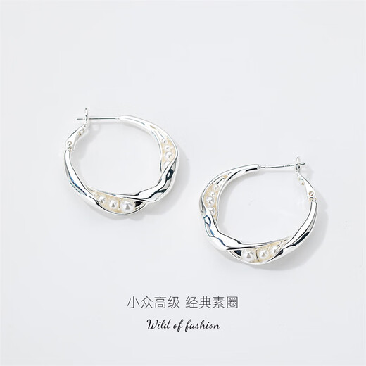 Qlady high-end light luxury earrings for women 2025 new silver needle earrings temperament niche earrings and earrings female birthday gifts