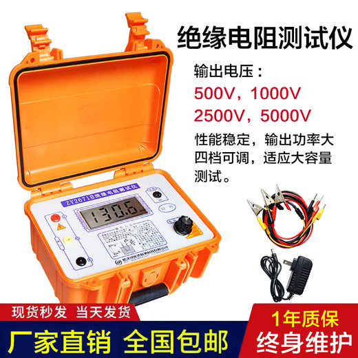 XMSJ定制ZY2671C10000V数字电子兆欧表绝缘电阻测试仪绝缘高精度摇表 KD2677C (5000V)  含线 带吸收