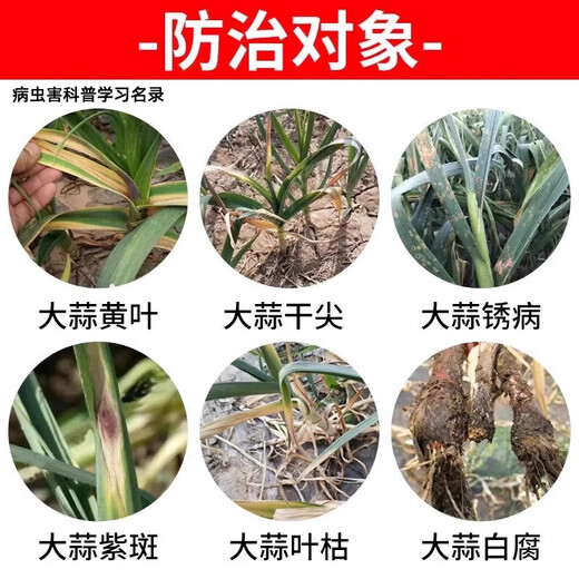 蒜菌清原液大蒜专用药微生物菌剂源液正品枯叶黄叶干尖抗病杀菌剂 三瓶装【买2送1】