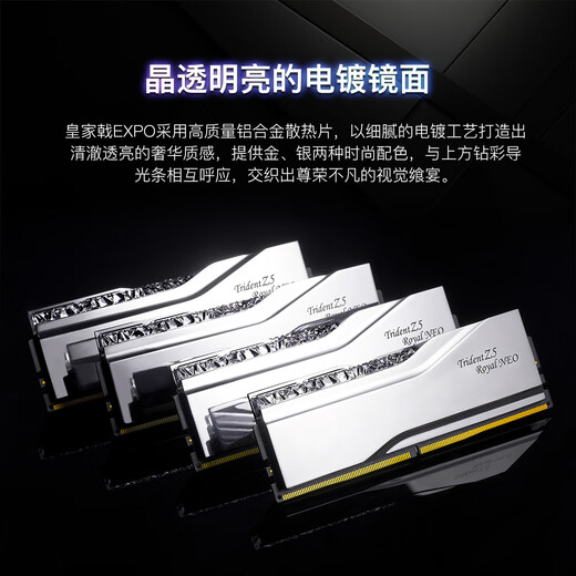 G.SKILL (G.SKILL) 32GB (16Gx2) set DDR5 6000 frequency desktop memory stick-Royal Halberd EXPO version RGB light strip-Silver/C28