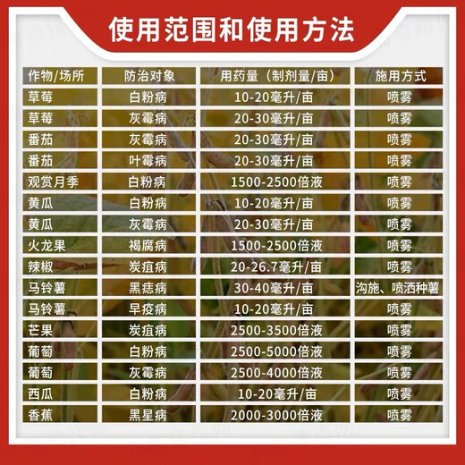 BASF Kinder pyraclostrostrobin fluamide powdery mildew strawberry gray mold pesticide fungicide 100ml