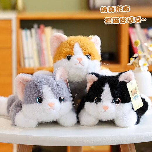威尔通（WELTSTON）毛绒玩具玩偶抱枕摆件靠垫娃娃生日礼物女生 仿真小橘猫咪公仔