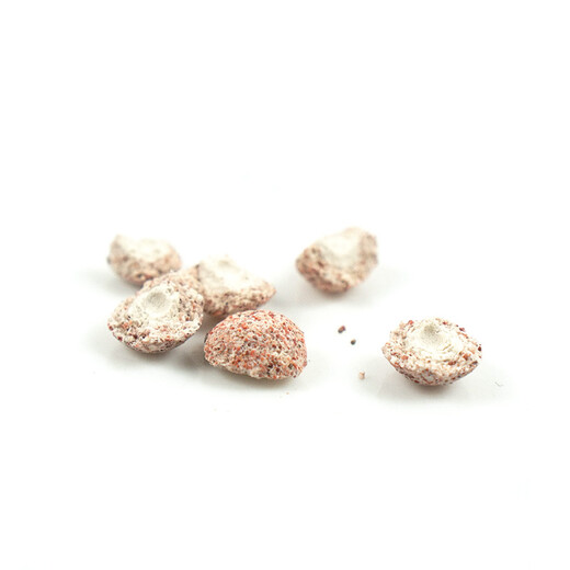 俪鱼（LIYU）中空石英球 约1cm直径 过滤材料 2L桶装 培菌稳定水质 含网袋2个