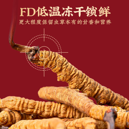 同芙 冬虫夏草3根/g 20g礼盒装 端午节礼物礼品高端送人滋补营养补品