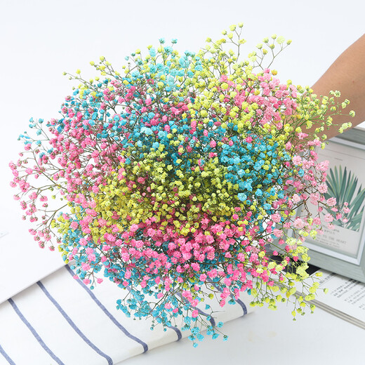 AIMAN Yunnan straight hair dried flower bouquet real flower home furnishing decoration small fresh living room office decoration air-dried bouquet blue starry sky without vase