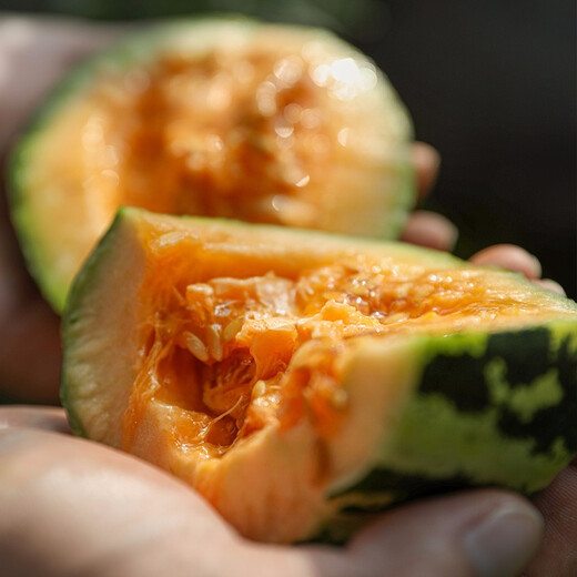 Shouhe Bingtangzi small melon seeds, tall pear-shaped melon seeds, early maturing four-season balcony potted seeds, Bingtang Prince melon seeds 80 capsules + 5 seedlings