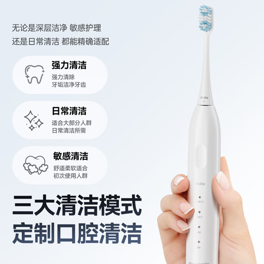 松下（Panasonic）电动牙刷磁悬浮马达抗菌多效刷头成人学生儿童牙刷情侣款送女友送男友生日七夕情人节礼物DC031紫