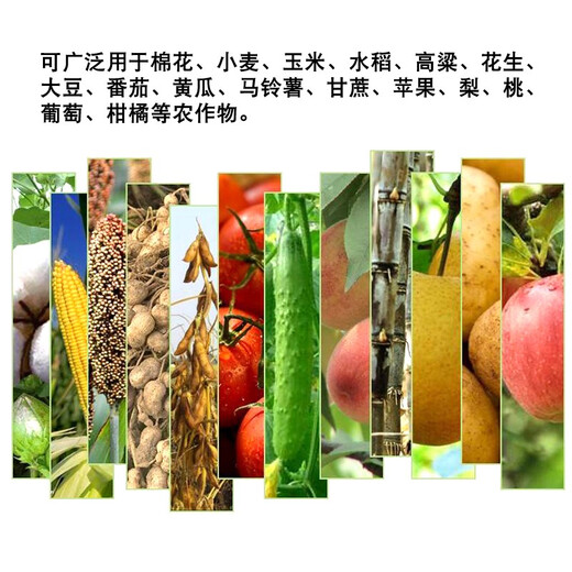 Guoguang 50% chlormequat, suppresses spirit, prevents crazy growth, prevents leggy vegetables, fruit trees, wheat plant growth regulator 500ml 0.1