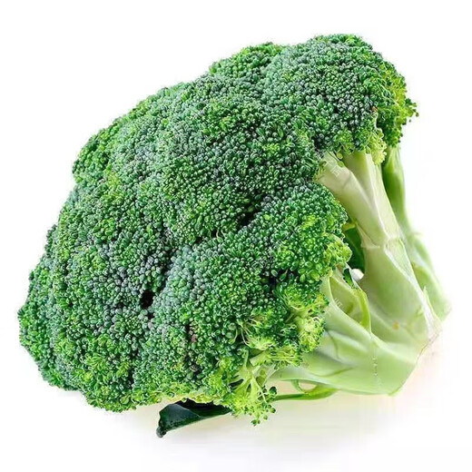 Broccoli seeds broccoli seeds loose cauliflower seeds cauliflower green cauliflower seeds four seasons vegetables original purple cauliflower seeds 1 bag (about 100 pieces
