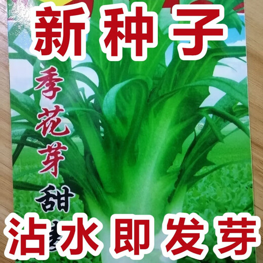 New seeds on the market New Zealand imported sweet wheat rapeseed, oilseed rapeseed, four-season vegetable seeds, sweet potato seeds with flower buds, high germination rate, original factory packaging, 5 packs of about 5088 new seeds