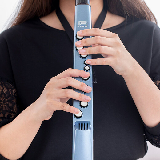 罗兰（Roland）ae01电吹管电萨克斯自带音源民族音色ae05c初学入门电子管乐 罗兰AE01标配+蓝牙音箱+礼包