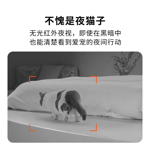 Xiaopei pet intelligent timed and quantitative visual feeder, fully automatic feeder, remote night vision monitoring for cats and dogs, Gemini feeder (visual version)