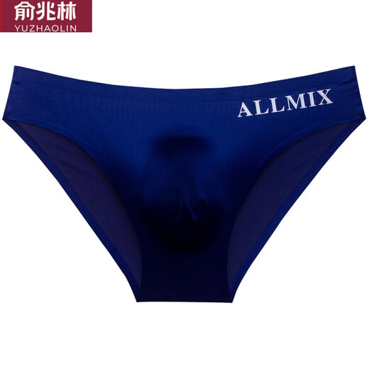 俞兆林男士三角内裤丁字裤低腰U凸弹力紧身性感一片式冰丝无痕运动健身 三角DZ男 白色 XXL